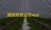 魔镜慧眼监控app
